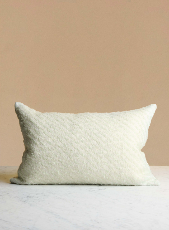 Cushion 40X60 Brera Mint
