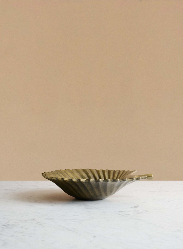 Trinket tray windmill palm