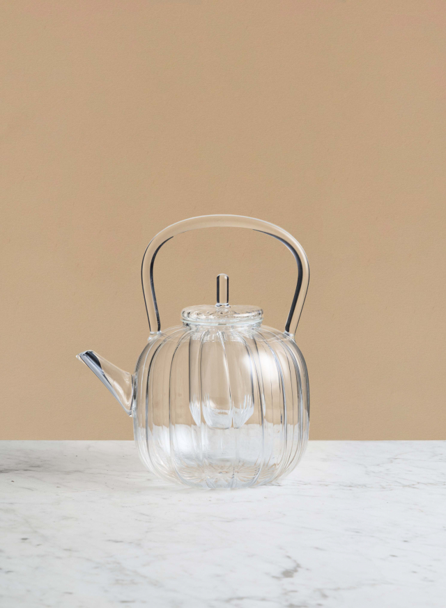 Cha No Yu Teapot with filter