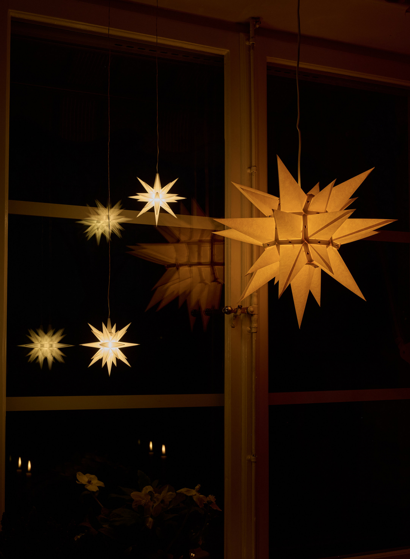 Moravia Star Yellow 40cm