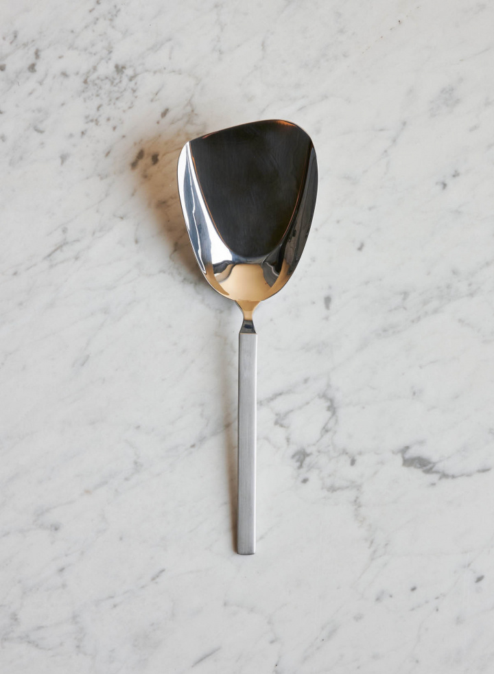Dry Serving spoon