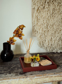 Diffuser Sea Salt Grapefruit