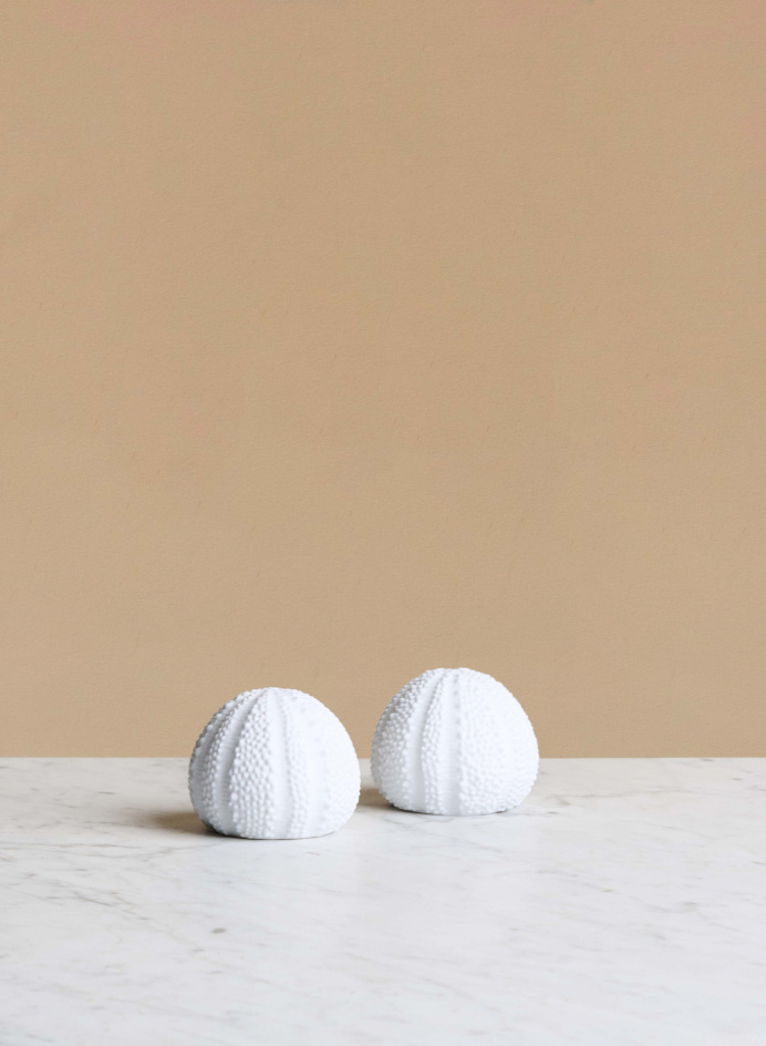 Sea Urchin Salt and Pepper Shakers in the group Kitchen / Table setting / Kitchen Accessories at Tambur Store AB (CHE22784)