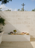Breakfast Bowl Mariposa Spruzzi Muschio