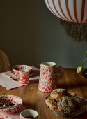 Pitcher Spruzzi Red