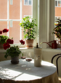 Wine Cooler Tradizionali