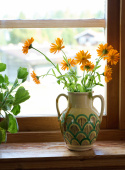Vase Piccolo Capasoni