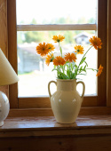 Vase Piccolo Creme