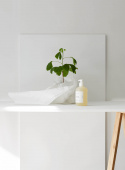 Hand Soap Fir