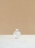 Seed Vase